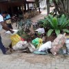Dengue_080620