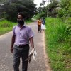 Dengue_080620