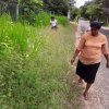 Dengue_080620
