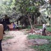 Dengue_080620