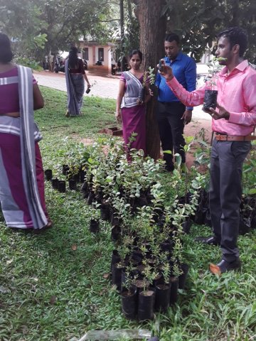 Plants Distribution Programme_010120
