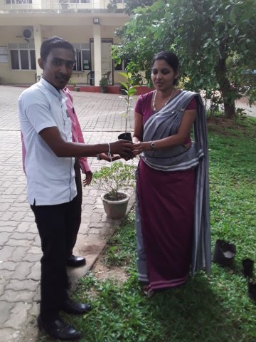 Plants Distribution Programme_010120