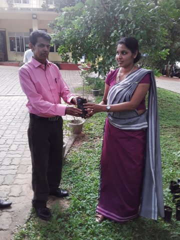 Plants Distribution Programme_010120