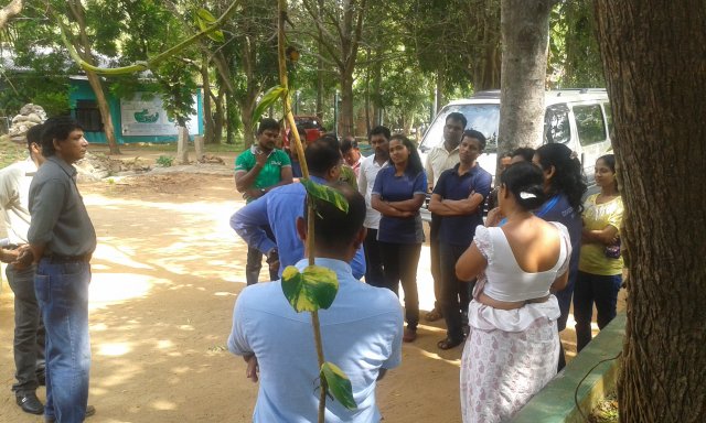 Street Drama_Samurdhi Division