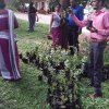 Plants Distribution Programme_010120