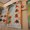Nutrition Programme_29102018