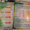Nutrition Programme_29102018